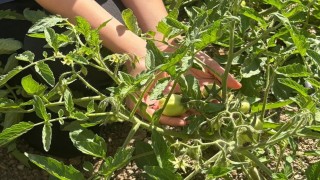 Manisada geri dönüşümle doğal yaşam sınıfı kuruldu