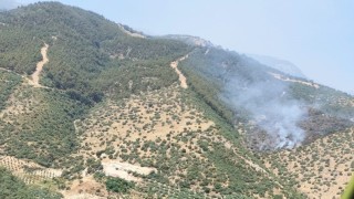 Manisada orman yangınına havadan ve karadan müdahale