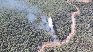 Manisadaki orman yangını kontrol altına alındı