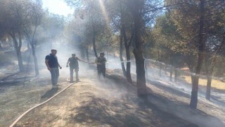 Manisadaki yangın hızlı müdahale ile söndürüldü