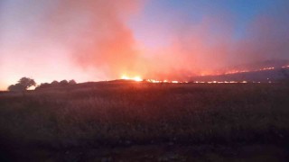 Mardinde dağlık alanda çıkan yangın söndürüldü
