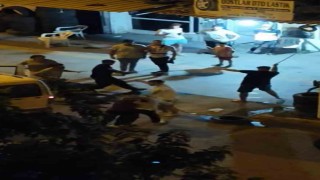 Mardinde iki grup arasında sopalı kavga