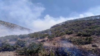 Mardinde ormanlık alanda çıkan yangına müdahale sürüyor