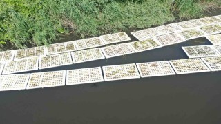 Marmara Denizini besleyen derelerde Yüzer Ada Projesi hayata geçirildi