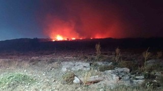 Menemende makilik alanda yangın