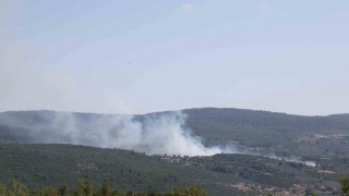 Menteşede çıkan yangın kontrol altına alındı