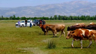 Meralarda su arama çalışmaları yapılıyor