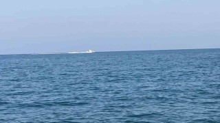 Mersinde köpekbalığı tedirginliği