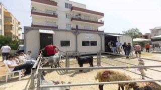 Mersinde kurban kesimi hem hijyenik hem ücretsiz