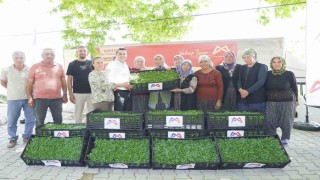 Mersinde tarım destekleri üreticiyi sevindiriyor