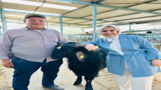 Milletvekili Sema Silkin Ün kurban pazarında yetiştiricileri dinledi