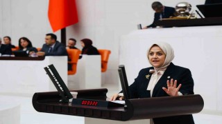Milletvekili Ün; İklim kanunu çiftçiye, besiciye darbe vuracak