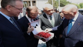 Milletvekillerinden Cumhurbaşkanı Erdoğana Kütahya kirazı ikramı