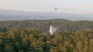 Muğla ve Aydındaki orman yangınları büyümeden söndürüldü