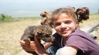 Muşta çoban kardeşler yaylada ölmek üzere olan kurt yavrularını kurtardı