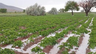 Nevşehirde sel ve dolu tarım arazilerini vurdu