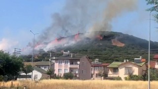 Niksarda orman yangını, ekiplerin müdahalesi sürüyor