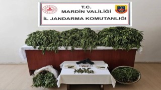 Nusaybinde uyuşturucu operasyonu: 4 gözaltı