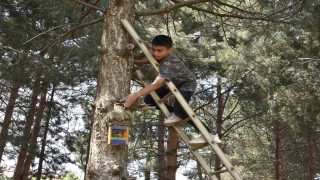 Öğrenciler atık su bidonlarından kuş yuvası yapıp millet bahçesine astı