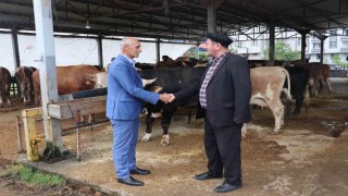 Ordu Büyükşehir, Kurban Bayramı hazırlıklarını tamamladı