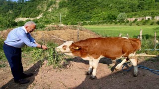 Orduda besicilerin yüzünü güldürüp, verimi arttıran destek