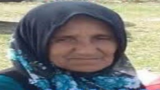 Orduda hafriyat kamyonunun çarptığı kadın hayatını kaybetti