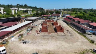 Orduda sokak hayvanlarına modern yaşam alanı