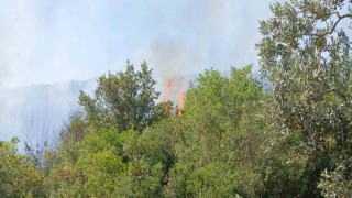 Orhangazideki yangına havadan ve karadan müdahale ediliyor