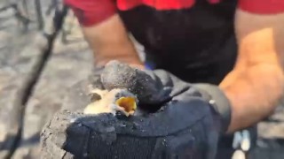 Orman yangınında hayatta kalan kuş böyle kurtarıldı