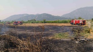 Ortacada sazlık yangını