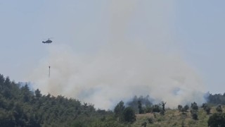 Osmaniyede çıkan orman yangını söndürüldü
