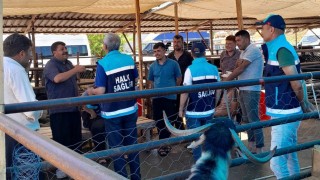 Osmaniye’de Kurbanlık Satıcılarına Salgın Hastalık Uyarısı