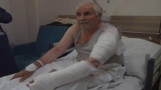 Ot biçen vatandaş kurdun saldırısına uğradı