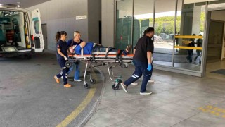 Otomobil ağaca çarptı, yaşlı çift yaralandı