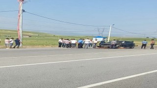 Otomobil sürüye çarptı, onlarca koyun telef oldu