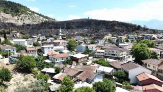 (Özel) Zümrüt yeşili orman manzaraları kömürlüğe döndü