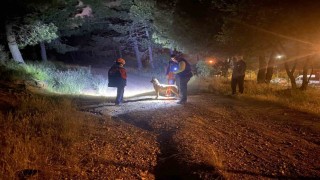 Pendikte ormana girdikten sonra haber alınamayan şahıs için arama çalışmaları başlatıldı