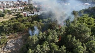 Pendikte ormanlık alanda çıkan yangın söndürüldü