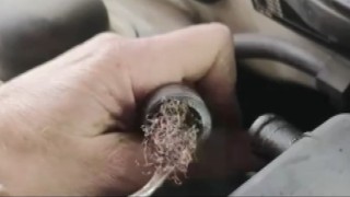 Pes dedirten görüntü: Otomobilin motorundan bulaşık teli çıktı
