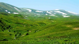 Posofta yayla mevsimi başladı