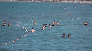 Prof. Dr. Yılmaz: Samsun denizi yasaklı şehir olmamalı