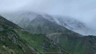 Rizenin Kavrun Yaylası Haziran ayında beyaza büründü