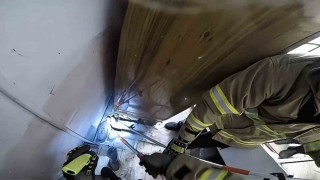 Safranboluda ayakkabılıkta zehirli engerek paniği