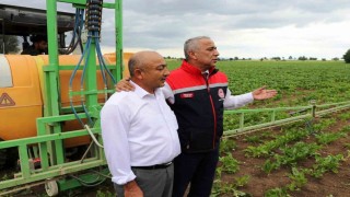 Sağlam: Çölleşmeye karşı toprağı iyi kullanmalıyız