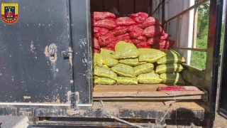 Sakaryada midye vurgunu: Resmi evraksız 5 ton midyeye el kondu