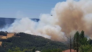 Sakaryada orman yangını: Bölgeye çok sayıda ekip sevk edildi