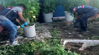Sakaryada uyuşturucu operasyonu: 1 tutuklama