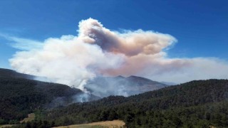 Sakaryadaki orman yangınına 700 personel, 200 araç ve 11 helikopter müdahale ediyor