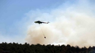 Sakaryadaki ormanlık alanda yangın: Havadan ve karadan müdahale ediliyor