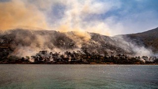 Sakız Adasındaki yangınla ilgili 1 kişi gözaltına alındı